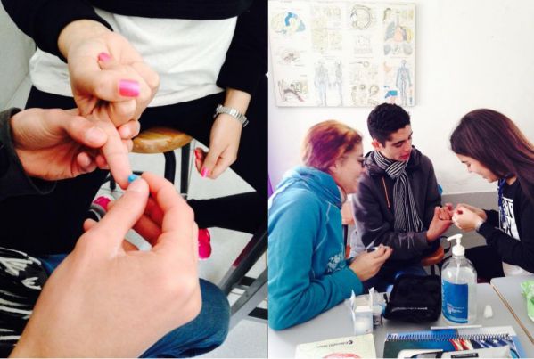 principal_compressed