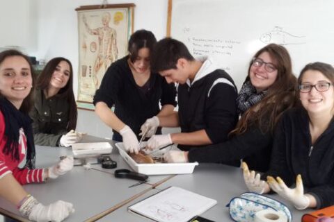 20151001_125303_compressed