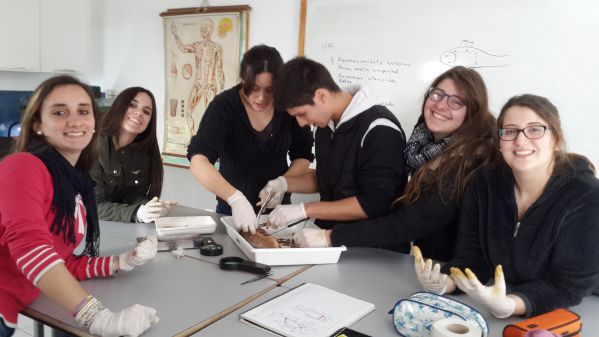 20151001_125303_compressed