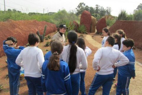 3_compressed_compressed