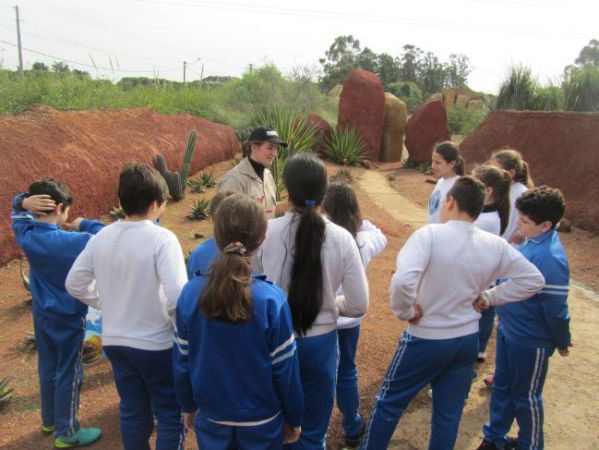 3_compressed_compressed