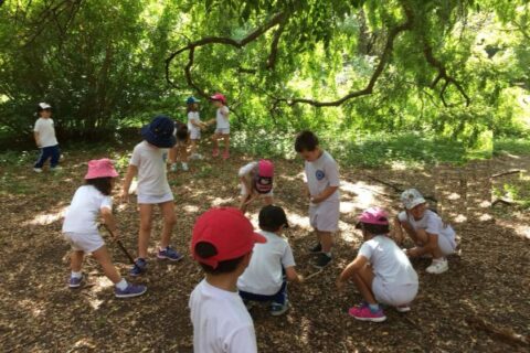 IMG-20180409-WA0007 - copia_compressed