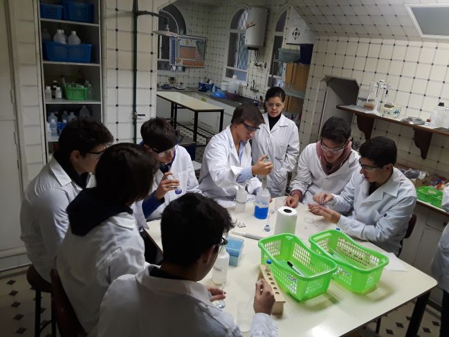 20180604_084700_compressed