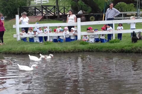 IMG-20181009-WA0023 - copia_compressed