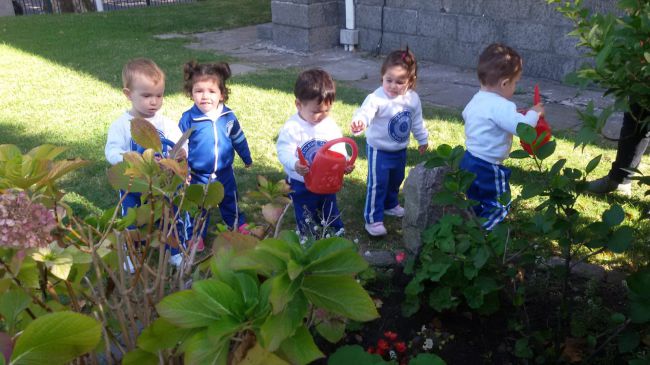 IMG-20190425-WA0002_compressed