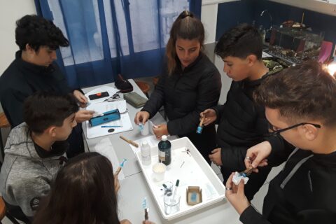 20190510_105021_compressed