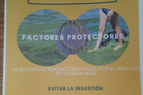 20190801_082910 (1)_compressed