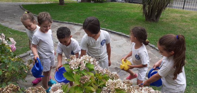 20200114_150210_compressed