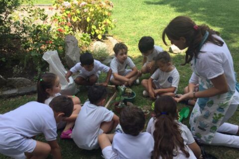 IMG-20200116-WA0002_compressed