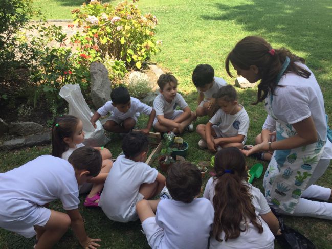 IMG-20200116-WA0002_compressed