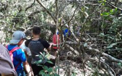 20200212_105508_compressed