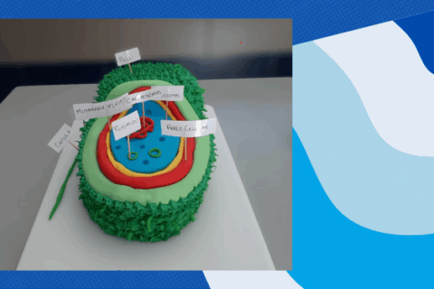 Destacada células_CNC